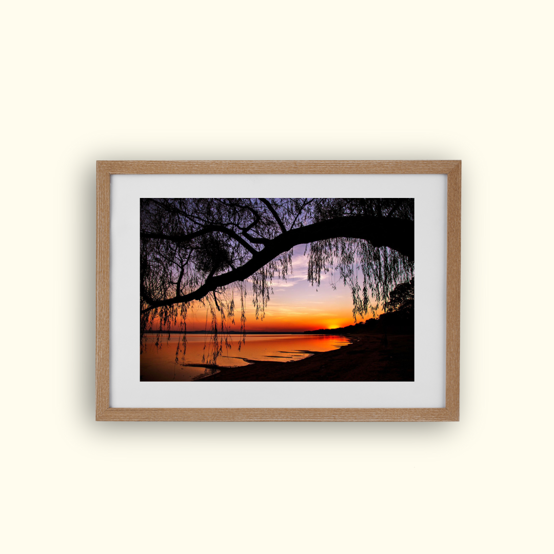 Cuadro “Atardecer Silencioso” | Max Mendieta