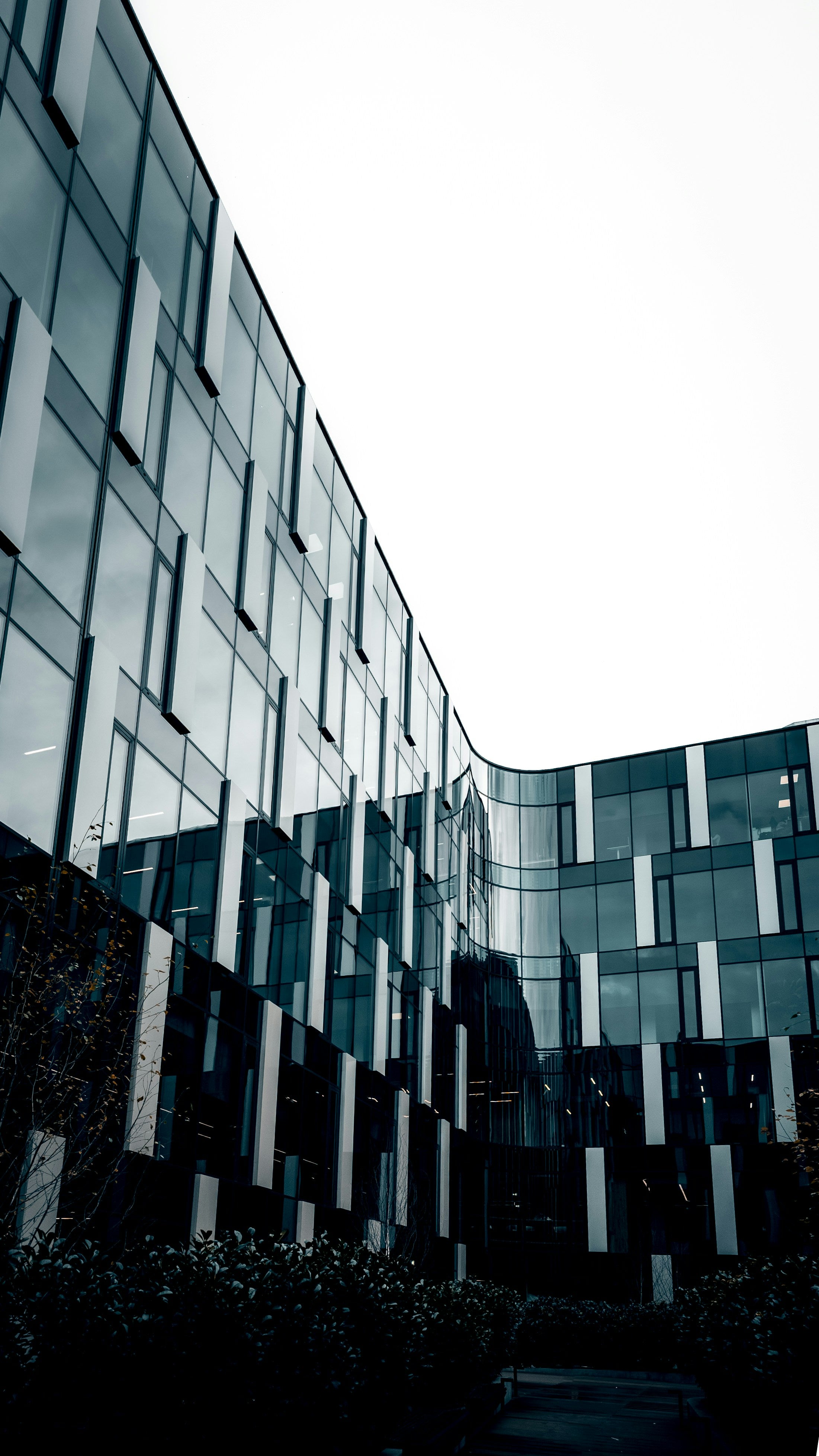 Cuadro “Fachada Reflejada“